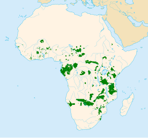 Descripcion d'l'imatge African Elephant distribution map without borders.svg.
