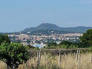 Albano L. Panorama.jpg
