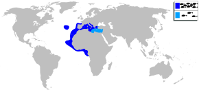 Description de l'image Apogon imberbis mapa.svg.