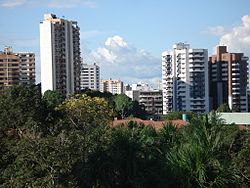 Pogled na Manaus