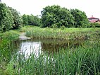 Barwick Pond off Barwick Lane near Barley Fields school (in background)