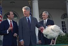 President Bill Clinton at the National Thanksgiving Turkey Presentation. Clinton presented a "discursive challenge to carnism" when he publicly recognized that turkeys were independent and had different personalities. Bill Clinton, turkey pardon.jpg