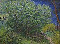 Van Gogh: Lilas (1889), Eremitage
