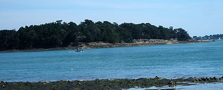 La côte ouest de l'île Er Runio, vue de la pointe du Blair.