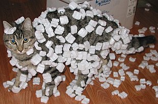 A tabby cat covered in packing peanuts.