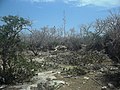 Chicxulub Puerto, Yucatán.