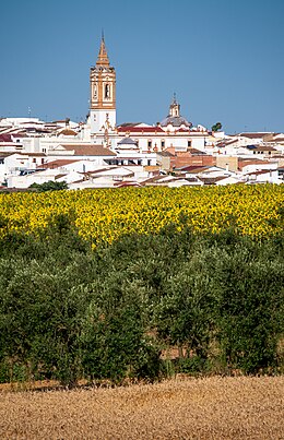 Rociana del Condado - Sœmeanza