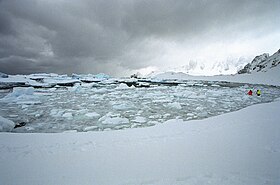 L'île de Cuverville durant l'été austral (janvier 2001).