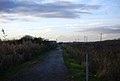 Cycleway 13, next to Coldharbour Lane