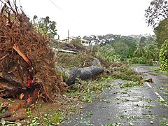 Effects of Hurricane Maria in Guadeloupe Degats Ouragan Maria (Apres son Passage).jpg