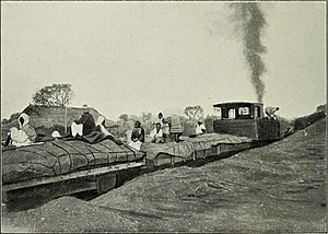 Train to Niger in 1908