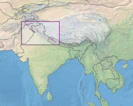 Subalpien naaldwoud van de westelijke Himalaya