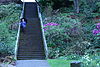 Flickr - пивоварни - Мэри Эллен в садах Штрайссгут - Сиэтл (2) .jpg