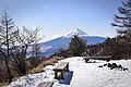 2019年8月22日 (木) 12:37時点における版のサムネイル