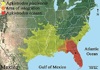 Geographic distribution of cottonmouths, Agkistrodon piscivorus and Agkistrodon conanti