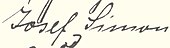 signature de Josef Simon