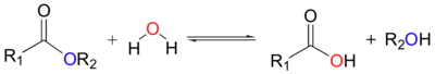 Hidrolisis ester