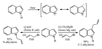 Formation and reactions of the indole anion