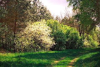 Mazowsze, Poland