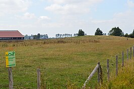 Kasteelberg Groede