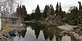 Kasugai Gardens in Late Winter , Kelowna, BC Canada (86.1 megapixels)