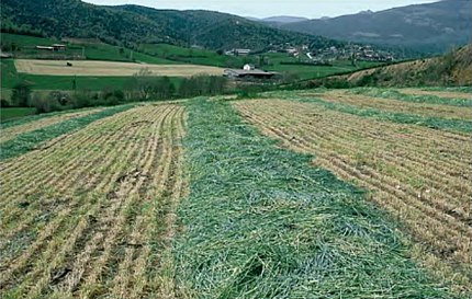 Montferrer i Castellbó (Alt Urgell), 26 d'abril de 2002