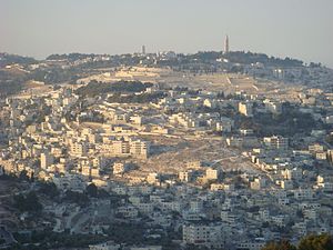 English: Mount of Olives, from Sherover-Hass-G...