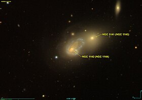 Image illustrative de l’article NGC 1142