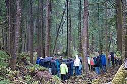 Oregon Board of Forestry tour 2009.jpg