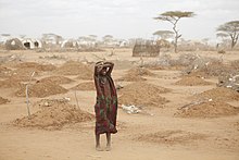 Criança em pé no centro da imagem, com trajes simples, com os dois antebraços encostados na cabeça, chora. Atrás dela, vários montes de terra com galhos fincados em cada um. Ao fundo, pequenas árvores e chão com aspecto seco.