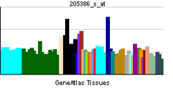 PBB GE MDM2 205386 s at tn.png