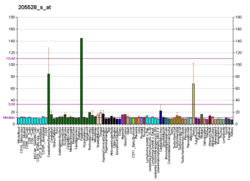 PBB GE RUNX1T1 205528 s при fs.png