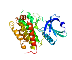 Белок MAPKAPK3 PDB 3FHR.png