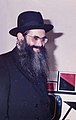 Rabbi Yonason David is Rosh yeshiva of Yeshiva Pachad Yitzchok in Jerusalem and of Yeshiva Rabbi Chaim Berlin in Brooklyn, New York.