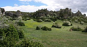 Image illustrative de l’article Causse du Larzac