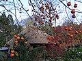 2018年1月25日 (木) 10:47時点における版のサムネイル