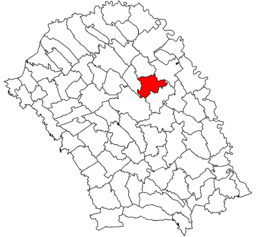 Săveni – Mappa