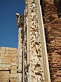 Basilica severiana, fusti in marmo inquadranti le absidi con decorazione scultorea di tipo a girali popolati.