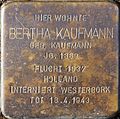 Stolperstein für Bertha Kaufmann (Stadtwaldgürtel 65–67)