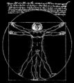 Leonardo's drawing of the Vitruvian Man is used in many contexts, including T-shirts.