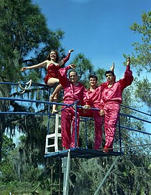 飛翔瓦倫達家族成員：卡爾·瓦倫達（左二）、瓦倫達的女兒卡拉·瓦倫達（Carla Wallenda；左一）、雷蒙·奇提（Raymond Chitty；右二），以及瓦倫達的女婿理查·古茲曼（Richard Guzman）。