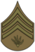 US Army OD Chevon Radio Sergeant 1918-1920.png