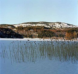 Vedasjön vintern 2002.