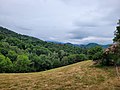 View from artist Ray Atkins' house