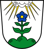 Wappen des Marktes Hengersberg