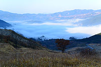 冬季在汤布院盆地的晨雾。