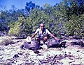 Image 9Aldabra giant tortoise from the islands of the Aldabra Atoll in the Seychelles (from Indian Ocean)