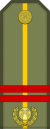 05.Kyrgyzstan Army-1SGT.svg