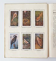 6 plaatjes van het album Het Naardermeer, 1912, geschilderd door Jan van Oort