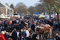 Paardenmarkt Hedel